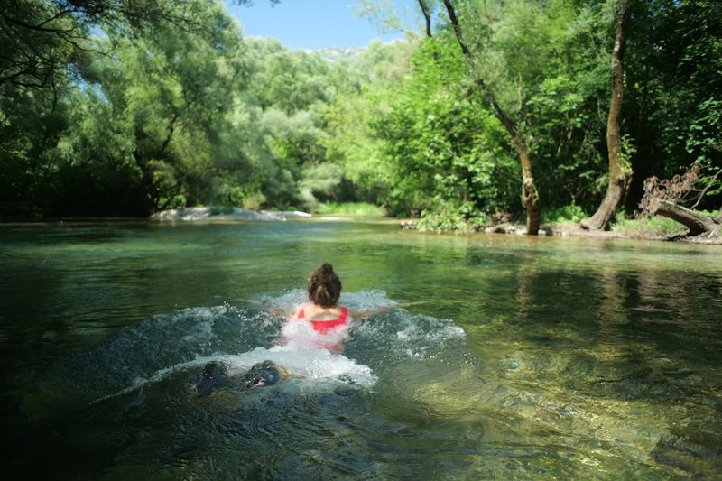 Kupačica pliva u bistroj rijeci okruženoj bujnim zelenilom