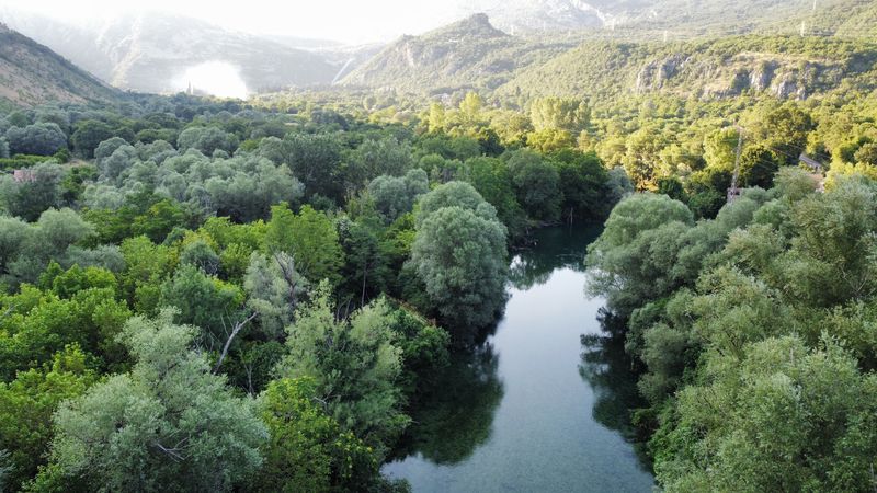 Mirna rijeka Zeta vijuga kroz gustu šumu u podnožju planina