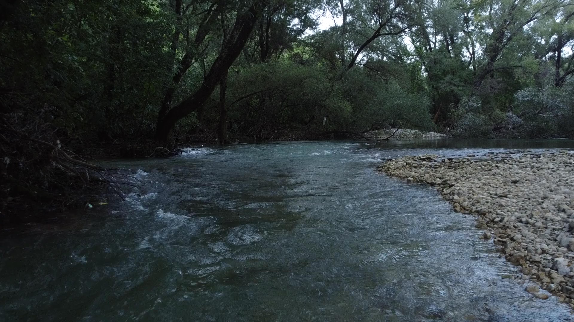 Eko Kamp Ilijin Vir